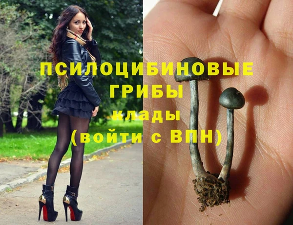 амфетамин Богородск