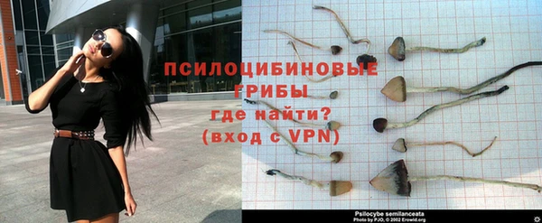 первитин Белокуриха