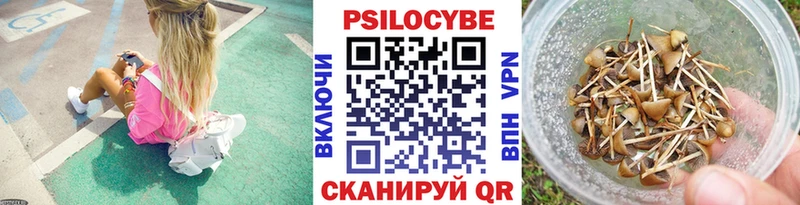Галлюциногенные грибы мухоморы  наркота  Биробиджан 