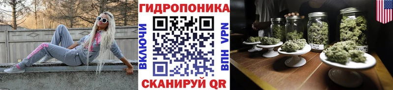 Шишки марихуана OG Kush Биробиджан